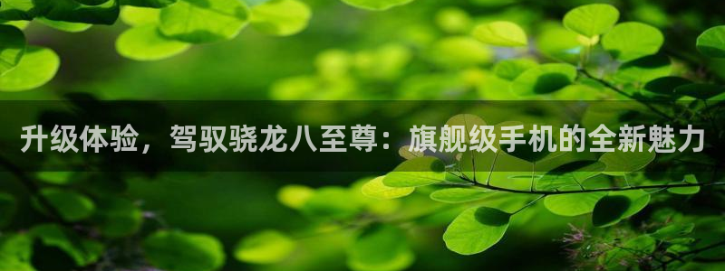 狗子28软件下载