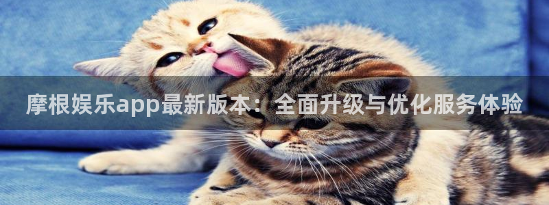 狗子28pg