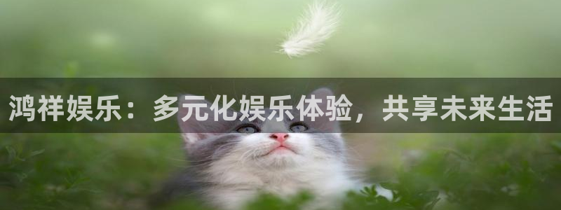 狗子28.ccm官网版
