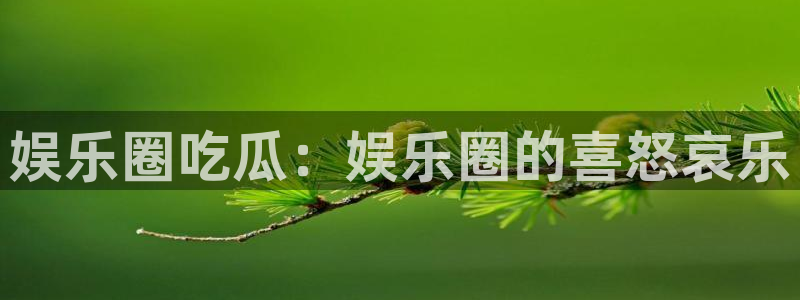 狗子28下载