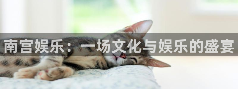 狗子28pg下载
