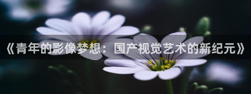 狗子28棋牌软件特色