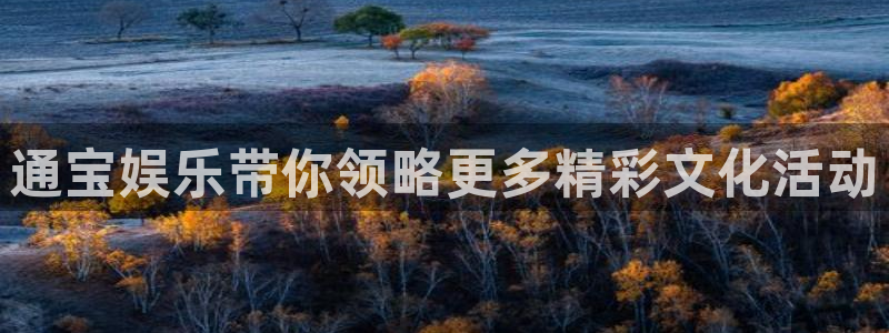 狗子28老款