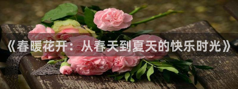 狗子28电子游戏官网入口