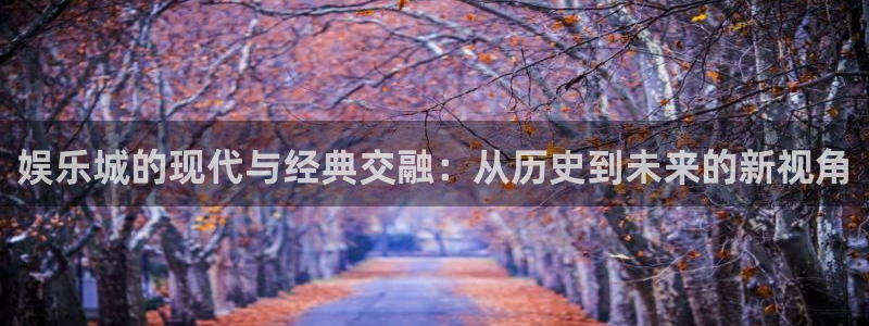 狗子28app