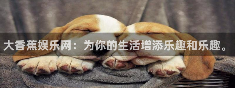 狗子28账号注册登录入口