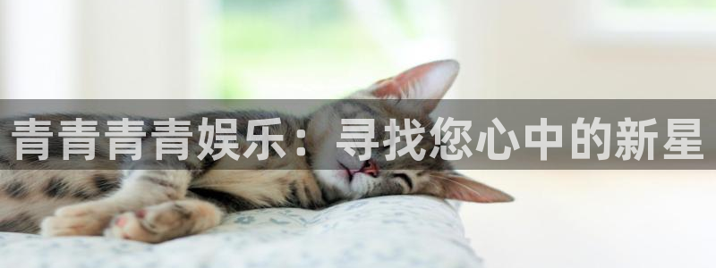 狗子28.ccm官网版