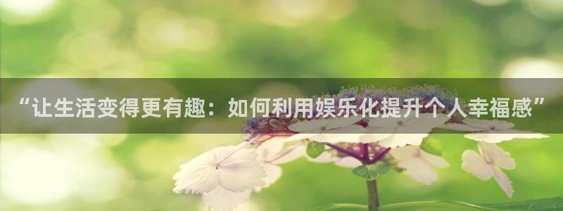 狗子28完整版：“让生活变得更有趣：如何利用娱乐化提升个人幸福感”