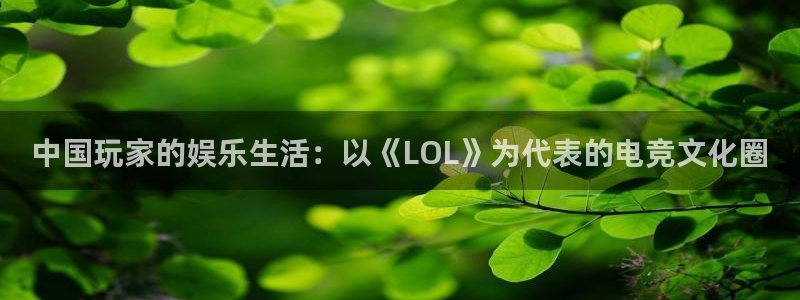 狗子28.ccm官网版：中国玩家的娱乐生活：以《LOL》为代表的电竞文化圈