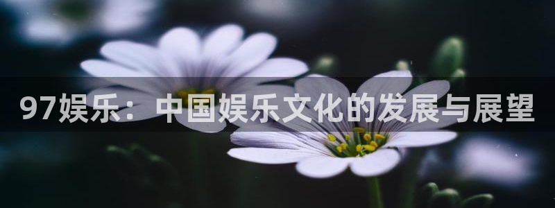 狗子28app下载官网入口：97娱乐：中国娱乐文化的发展与展望