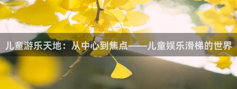狗子28国际版下载入口：儿童游乐天地：从中心到焦点——儿童娱乐滑梯的世界