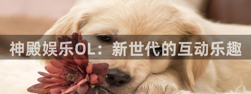 狗子28游戏网页版入口：神殿娱乐OL：新世代的互动乐趣