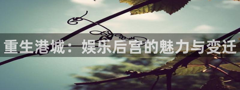 狗子28.ccm官网版：重生港城：娱乐后宫的魅力与变迁