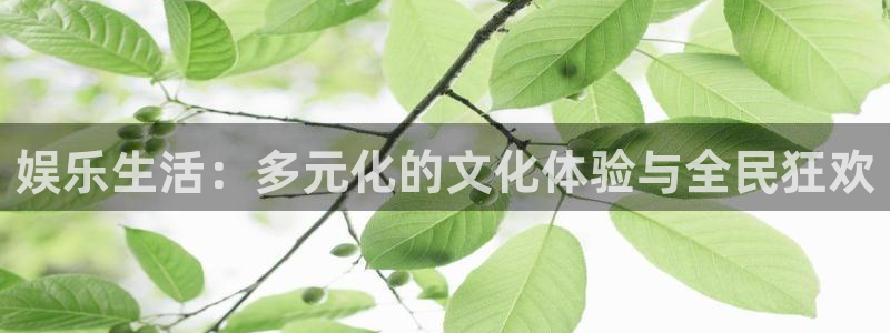 狗子28圈.ccmpc29官网版下载：娱乐生活：多元化的文化体验与全民狂欢