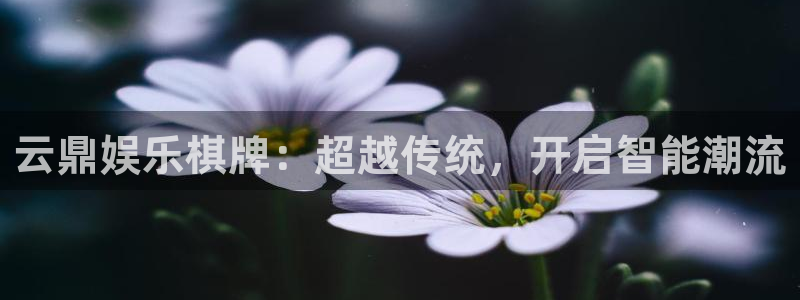 狗子28官方下载链接：云鼎娱乐棋牌：超越传统，开启智能潮流