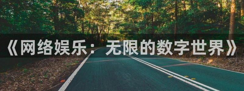 狗子28免费下载：《网络娱乐：无限的数字世界》