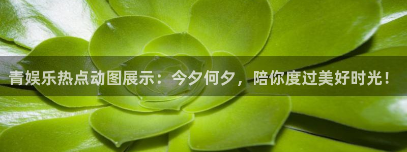 狗子28下载：青娱乐热点动图展示：今夕何夕，陪你度过美好时光！
