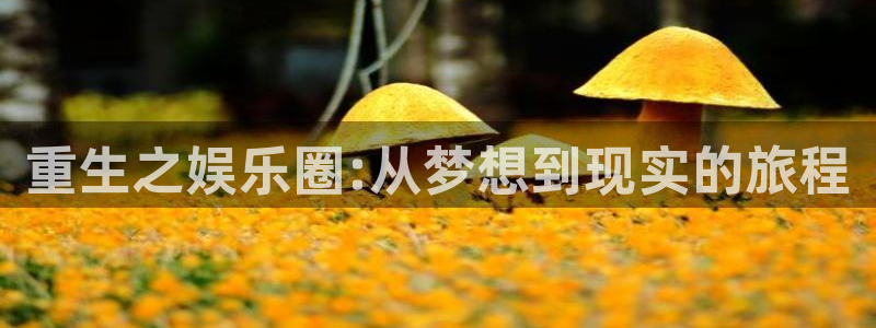 狗子28pg下载：重生之娱乐圈:从梦想到现实的旅程