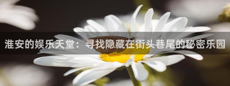 狗子28国际版下载入口：淮安的娱乐天堂：寻找隐藏在街头巷尾的秘密乐园
