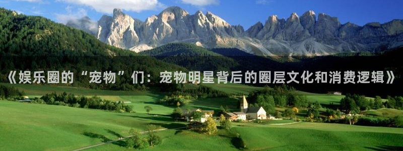 狗子28链接：《娱乐圈的“宠物”们：宠物明星背后的圈层文化和消费逻辑》