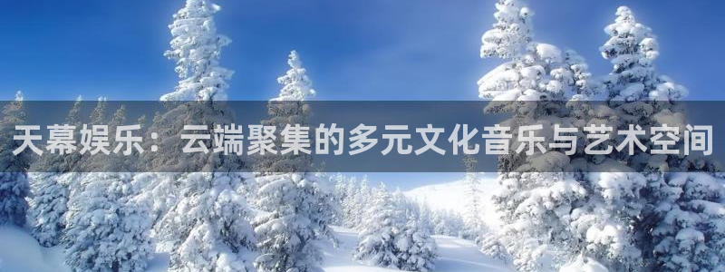 狗子28模拟器：天幕娱乐：云端聚集的多元文化音乐与艺术空间