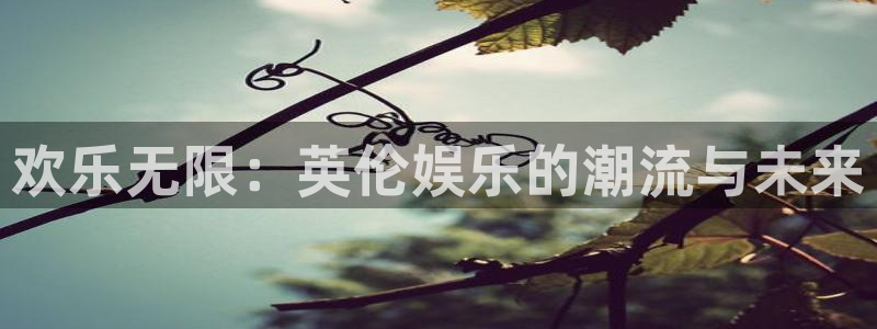 狗子28游戏登录入口：欢乐无限：英伦娱乐的潮流与未来