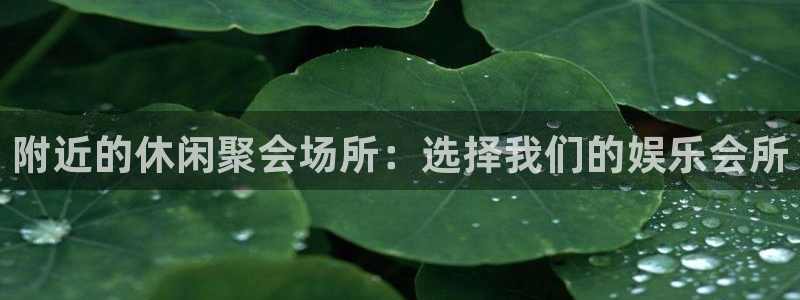 狗子28app：附近的休闲聚会场所：选择我们的娱乐会所