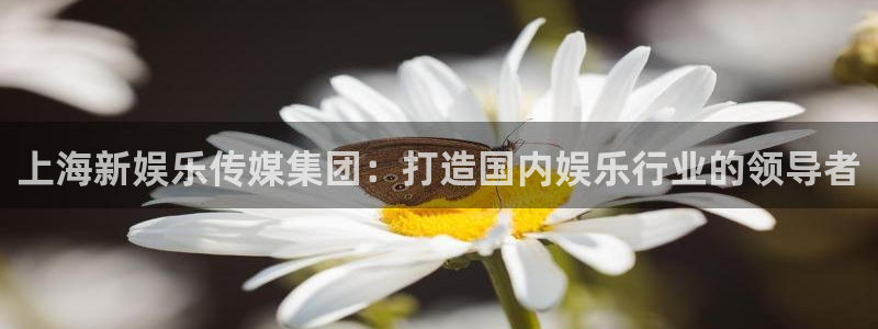 狗子28平台：上海新娱乐传媒集团：打造国内娱乐行业的领导者